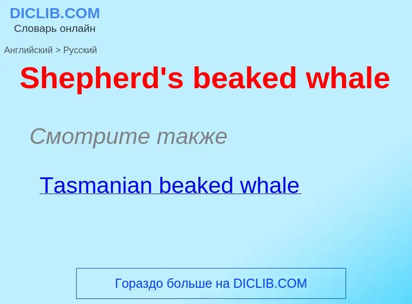 ¿Cómo se dice Shepherd's beaked whale en Ruso? Traducción de &#39Shepherd's beaked whale&#39 al Ruso