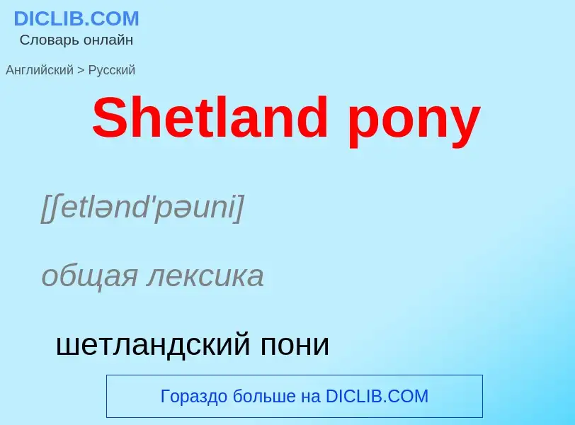 ¿Cómo se dice Shetland pony en Ruso? Traducción de &#39Shetland pony&#39 al Ruso