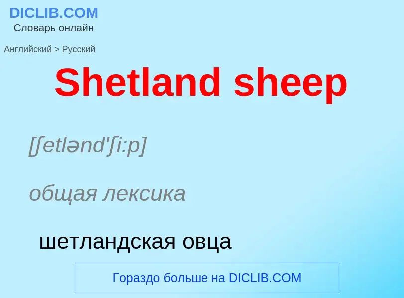 ¿Cómo se dice Shetland sheep en Ruso? Traducción de &#39Shetland sheep&#39 al Ruso