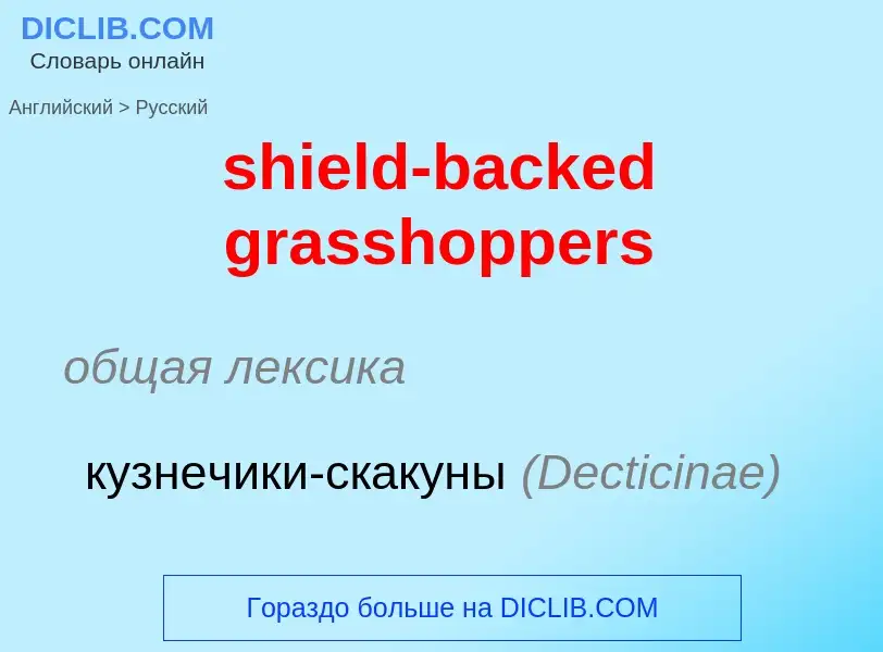 Как переводится shield-backed grasshoppers на Русский язык