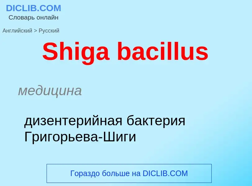 ¿Cómo se dice Shiga bacillus en Ruso? Traducción de &#39Shiga bacillus&#39 al Ruso