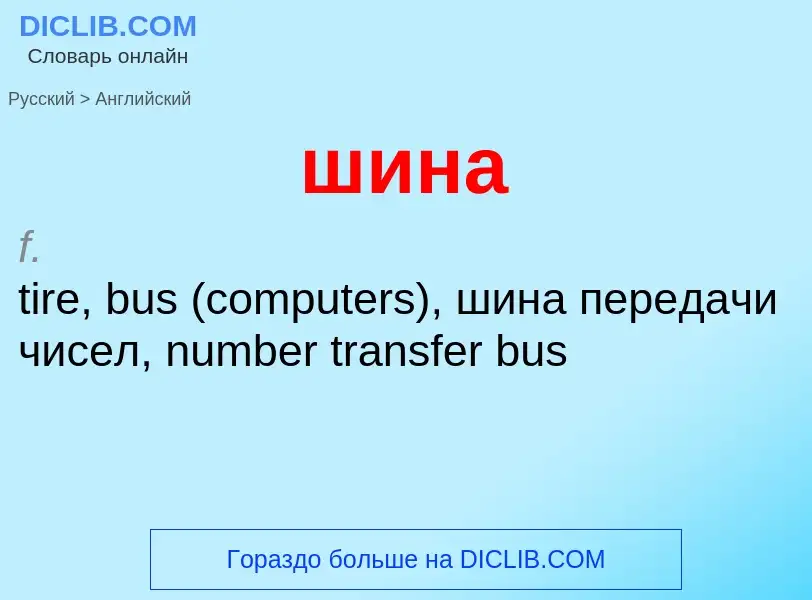 Как переводится шина на Английский язык