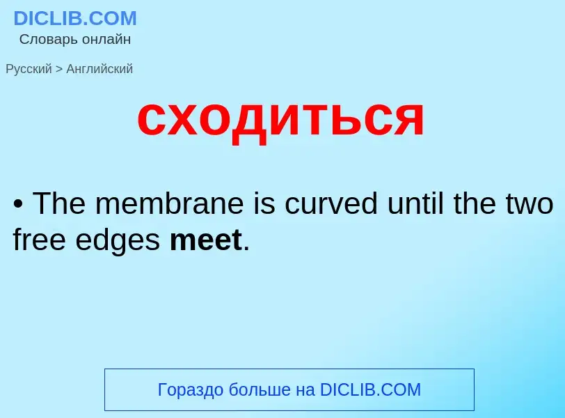 ¿Cómo se dice сходиться en Inglés? Traducción de &#39сходиться&#39 al Inglés