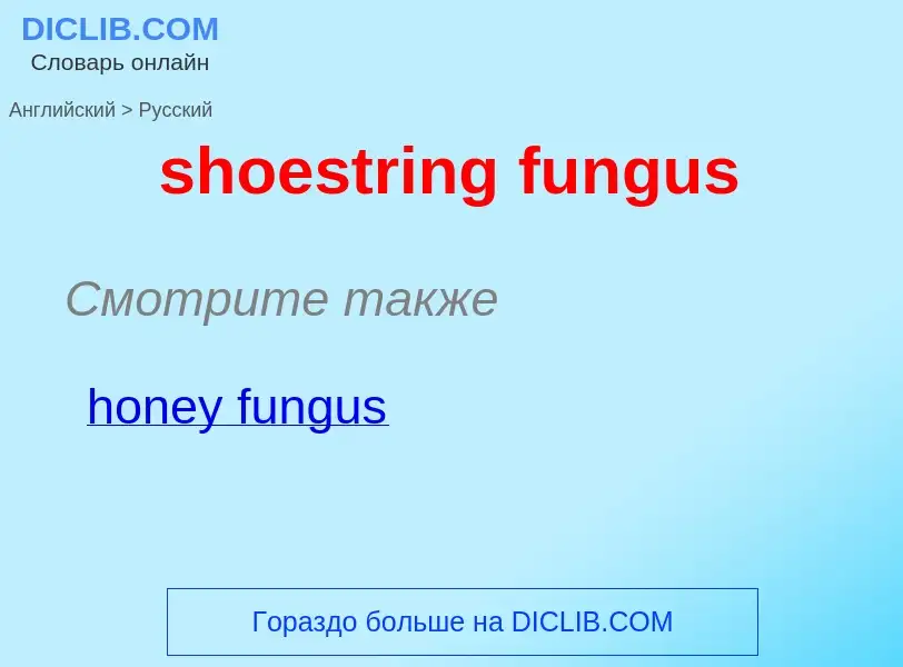 Μετάφραση του &#39shoestring fungus&#39 σε Ρωσικά