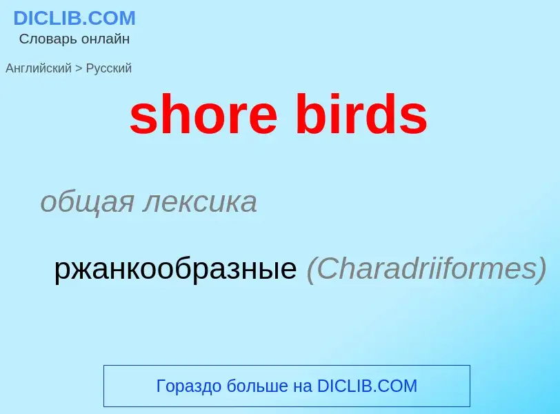 Μετάφραση του &#39shore birds&#39 σε Ρωσικά