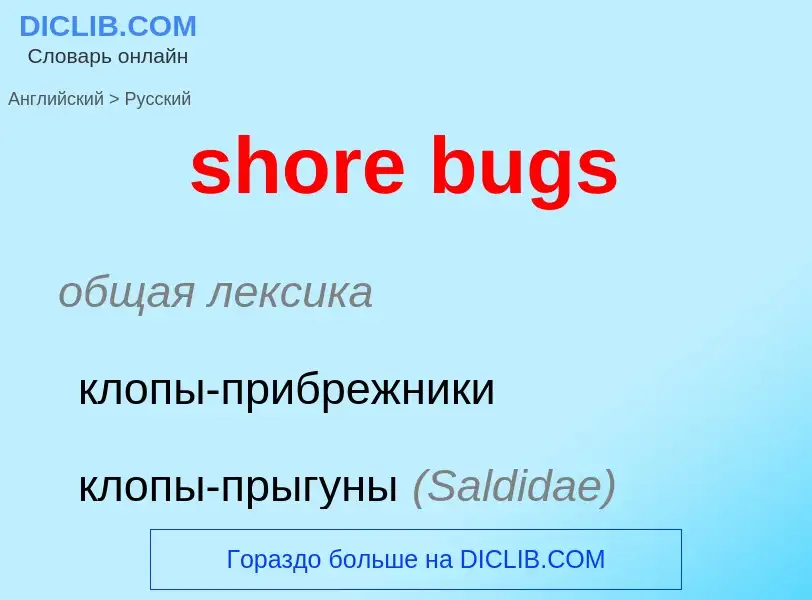 Como se diz shore bugs em Russo? Tradução de &#39shore bugs&#39 em Russo