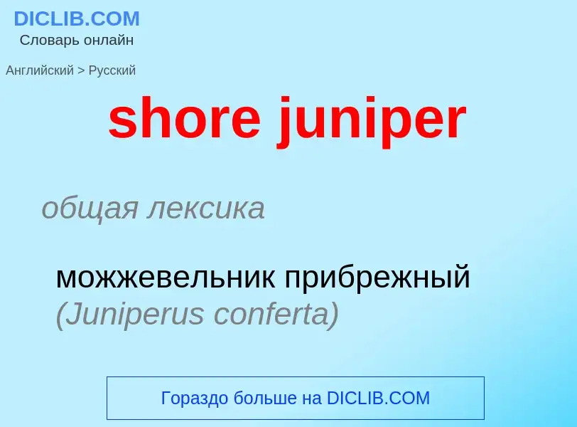 Как переводится shore juniper на Русский язык