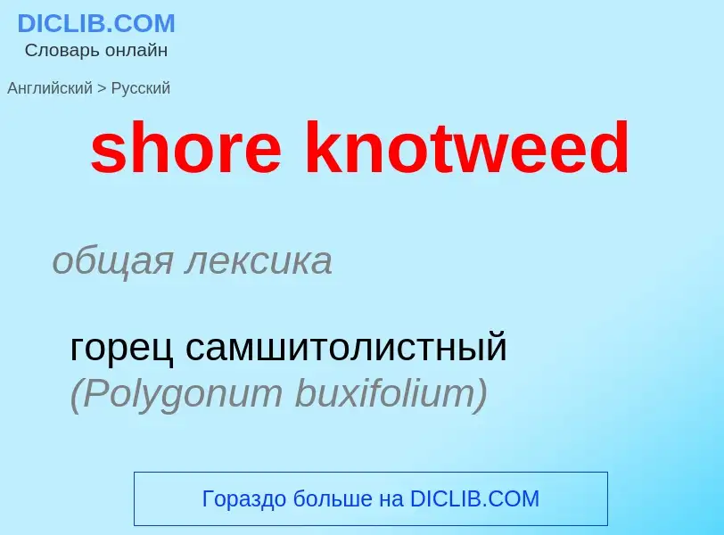 Μετάφραση του &#39shore knotweed&#39 σε Ρωσικά