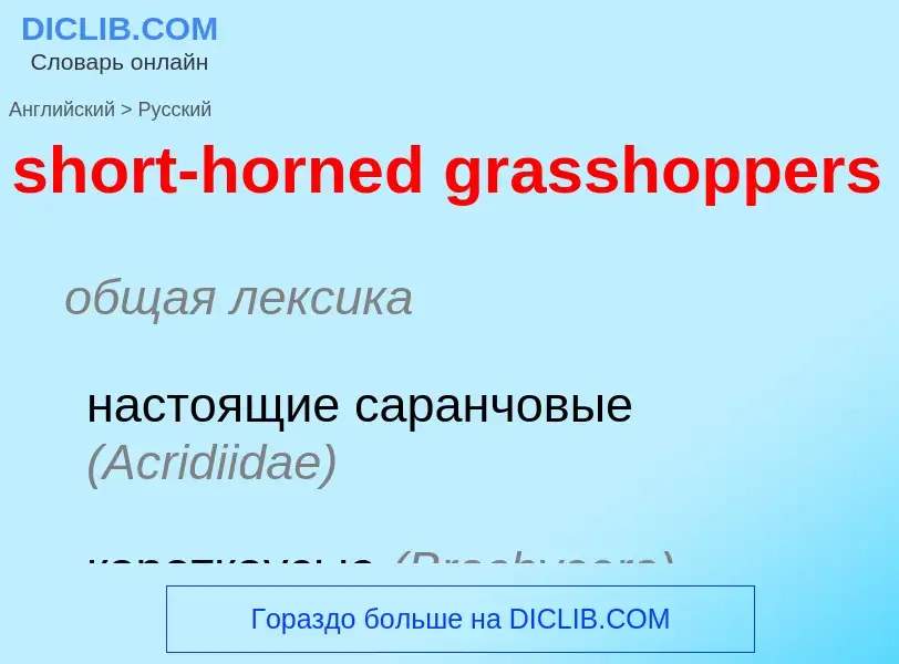 Как переводится short-horned grasshoppers на Русский язык