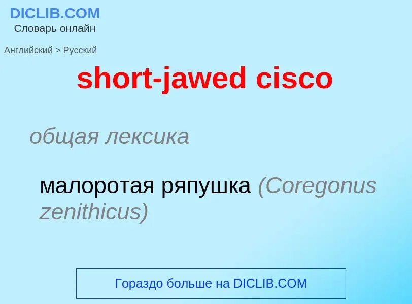 ¿Cómo se dice short-jawed cisco en Ruso? Traducción de &#39short-jawed cisco&#39 al Ruso