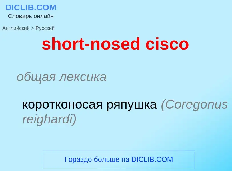 ¿Cómo se dice short-nosed cisco en Ruso? Traducción de &#39short-nosed cisco&#39 al Ruso