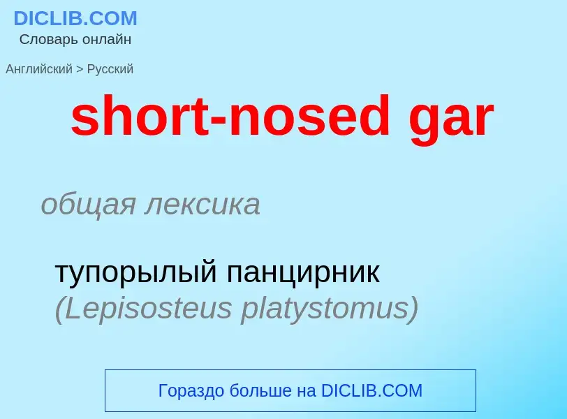 What is the Russian for short-nosed gar? Translation of &#39short-nosed gar&#39 to Russian