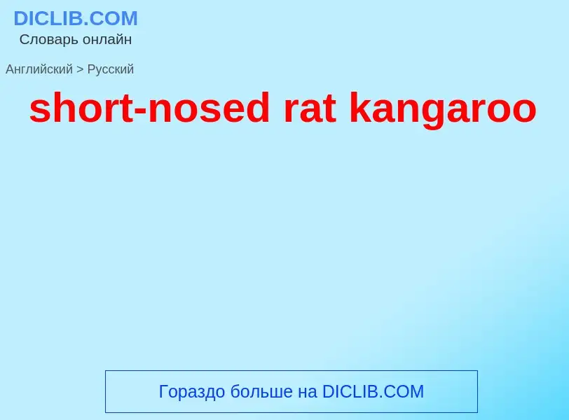 Как переводится short-nosed rat kangaroo на Русский язык