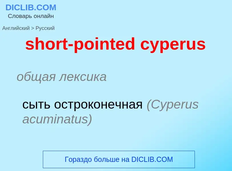 Как переводится short-pointed cyperus на Русский язык