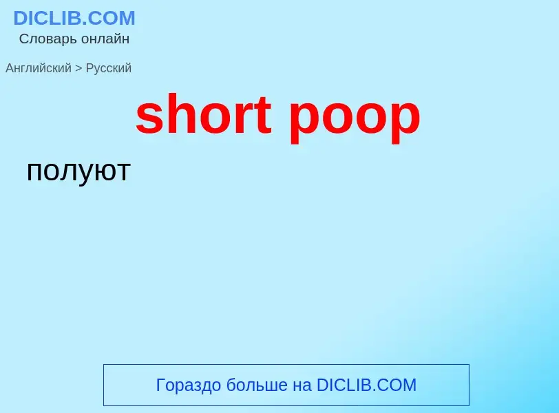 Как переводится short poop на Русский язык