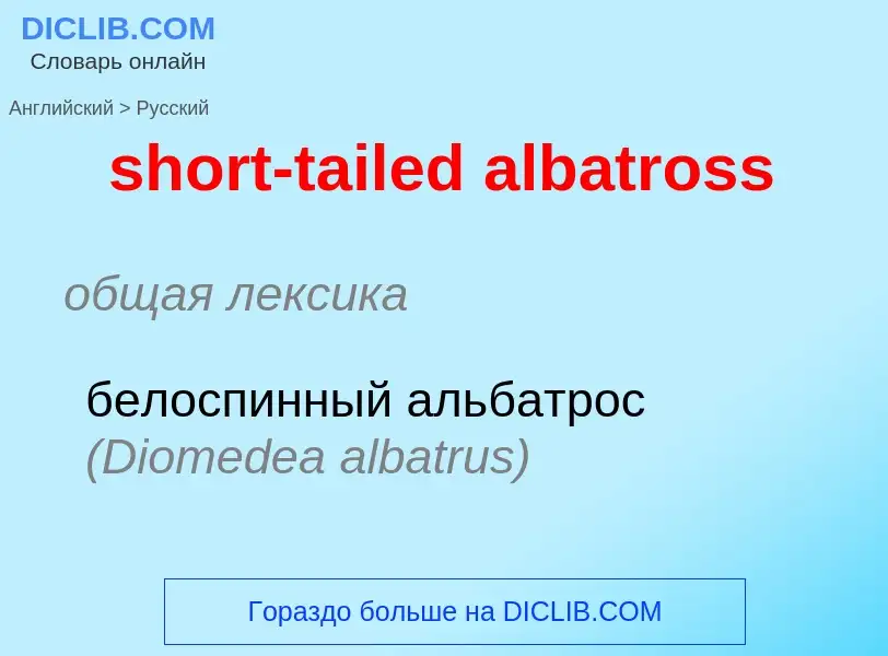 Как переводится short-tailed albatross на Русский язык