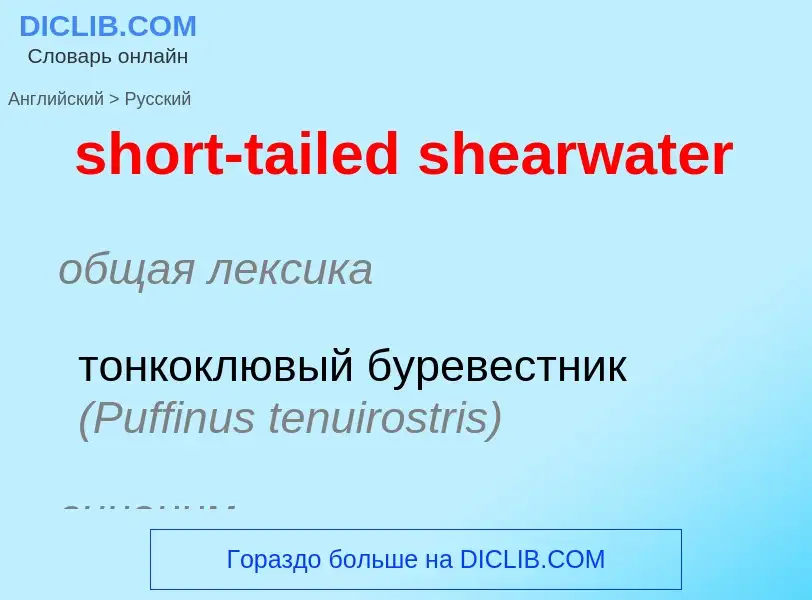 ¿Cómo se dice short-tailed shearwater en Ruso? Traducción de &#39short-tailed shearwater&#39 al Ruso