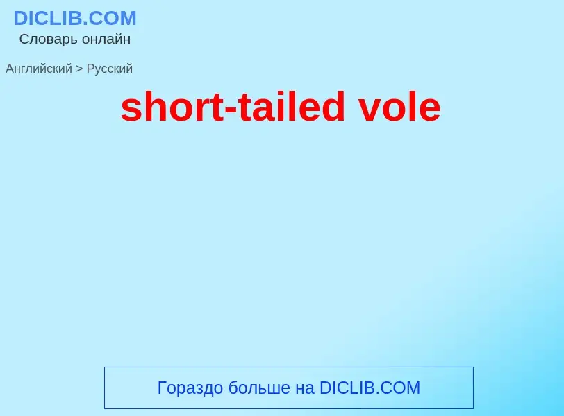 ¿Cómo se dice short-tailed vole en Ruso? Traducción de &#39short-tailed vole&#39 al Ruso