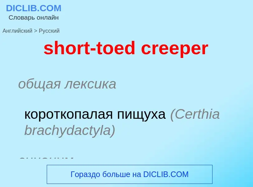 Μετάφραση του &#39short-toed creeper&#39 σε Ρωσικά