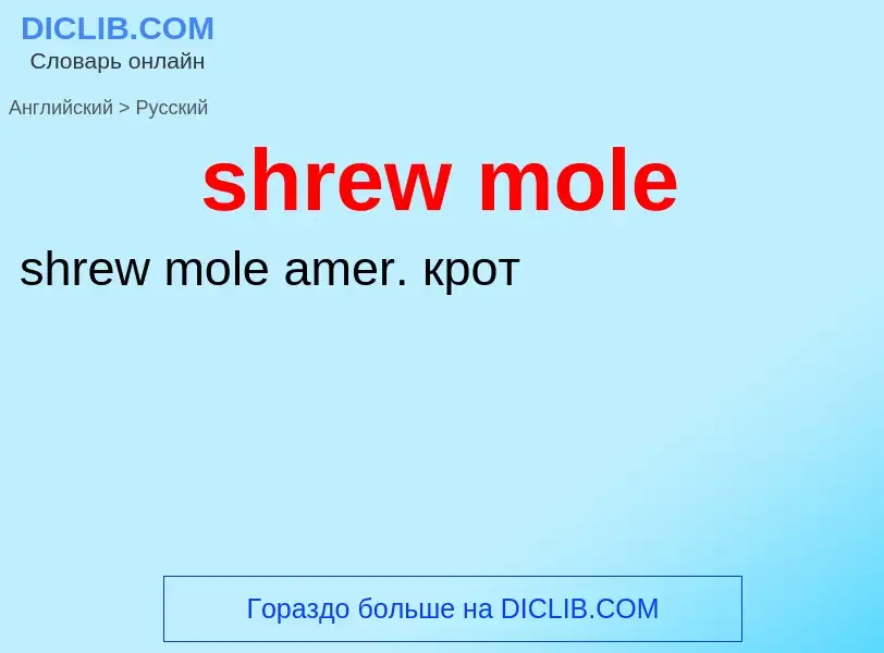 Μετάφραση του &#39shrew mole&#39 σε Ρωσικά