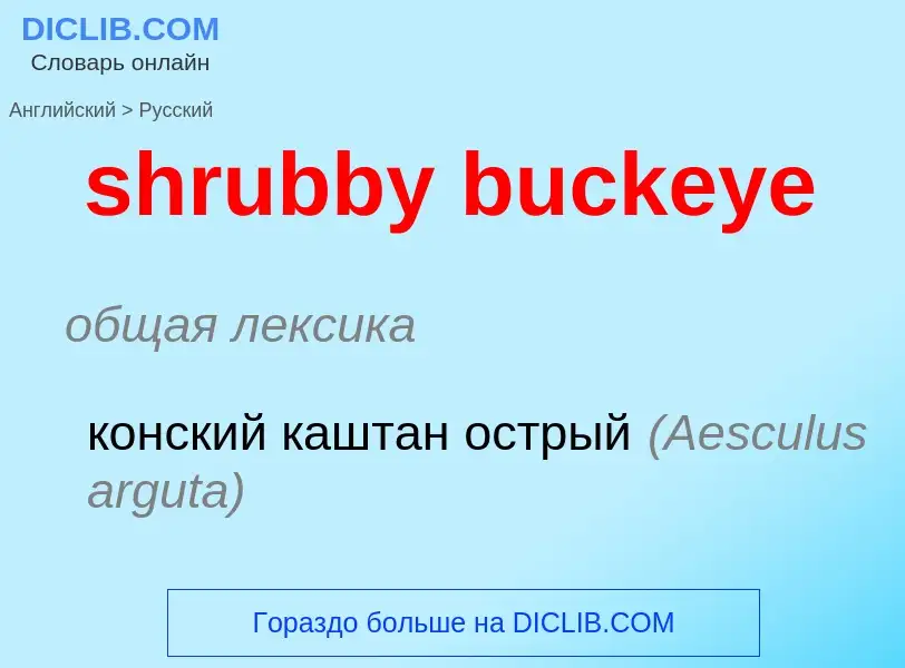 What is the Russian for shrubby buckeye? Translation of &#39shrubby buckeye&#39 to Russian