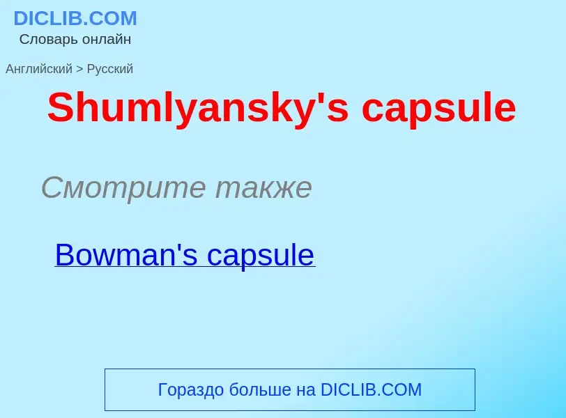 ¿Cómo se dice Shumlyansky's capsule en Ruso? Traducción de &#39Shumlyansky's capsule&#39 al Ruso