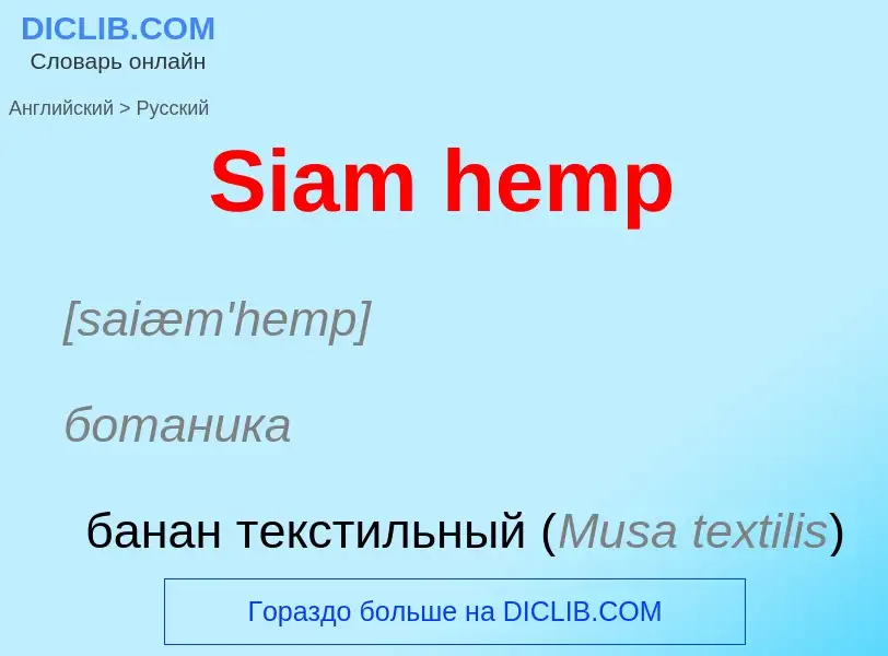 ¿Cómo se dice Siam hemp en Ruso? Traducción de &#39Siam hemp&#39 al Ruso