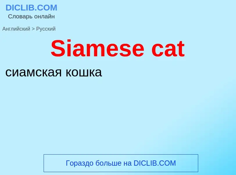 ¿Cómo se dice Siamese cat en Ruso? Traducción de &#39Siamese cat&#39 al Ruso