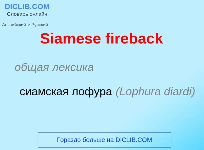 ¿Cómo se dice Siamese fireback en Ruso? Traducción de &#39Siamese fireback&#39 al Ruso