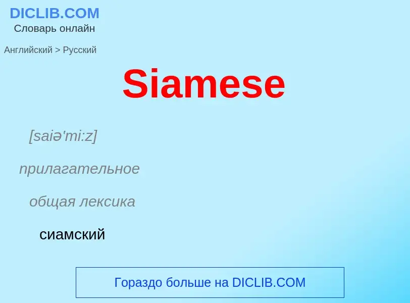 ¿Cómo se dice Siamese en Ruso? Traducción de &#39Siamese&#39 al Ruso