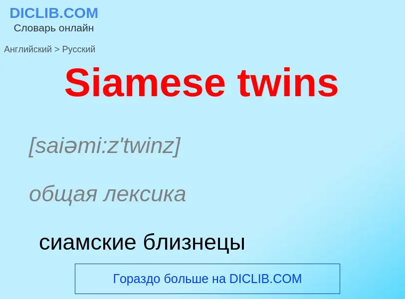 ¿Cómo se dice Siamese twins en Ruso? Traducción de &#39Siamese twins&#39 al Ruso