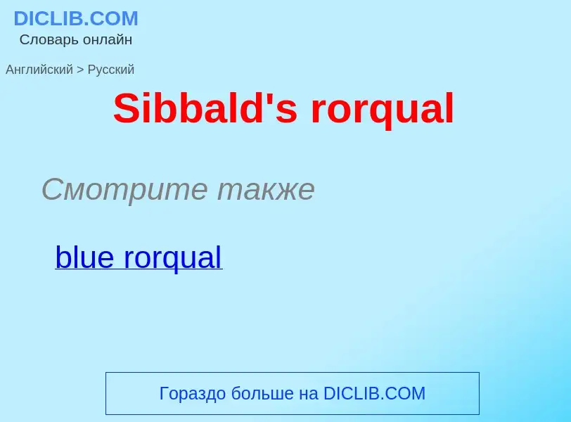 ¿Cómo se dice Sibbald's rorqual en Ruso? Traducción de &#39Sibbald's rorqual&#39 al Ruso