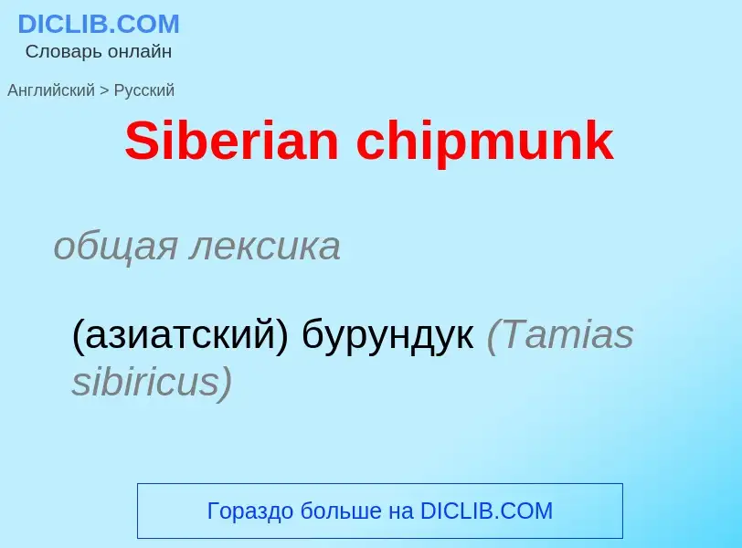 ¿Cómo se dice Siberian chipmunk en Ruso? Traducción de &#39Siberian chipmunk&#39 al Ruso