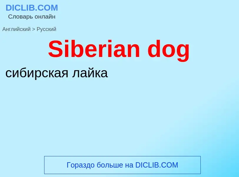 ¿Cómo se dice Siberian dog en Ruso? Traducción de &#39Siberian dog&#39 al Ruso