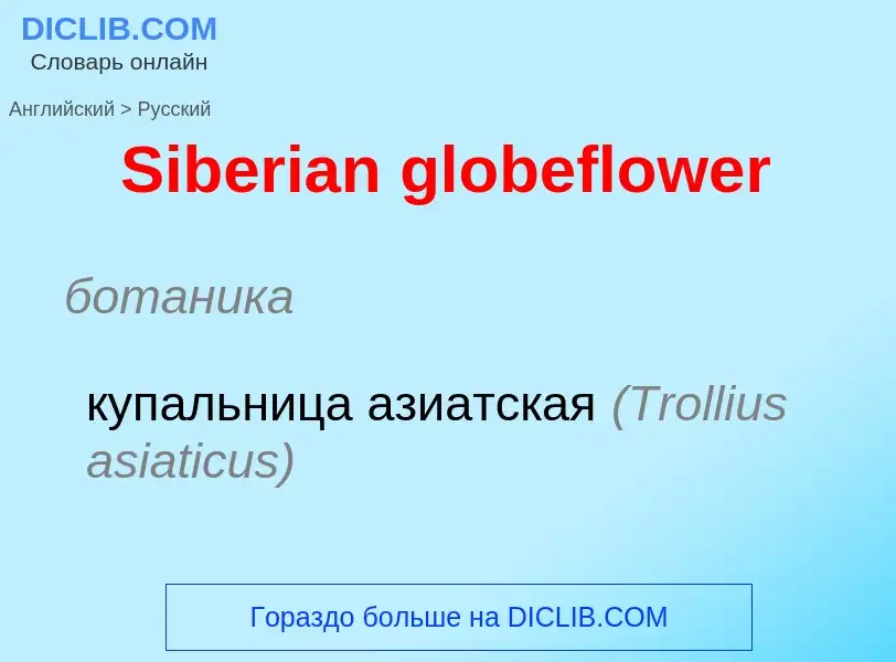 ¿Cómo se dice Siberian globeflower en Ruso? Traducción de &#39Siberian globeflower&#39 al Ruso