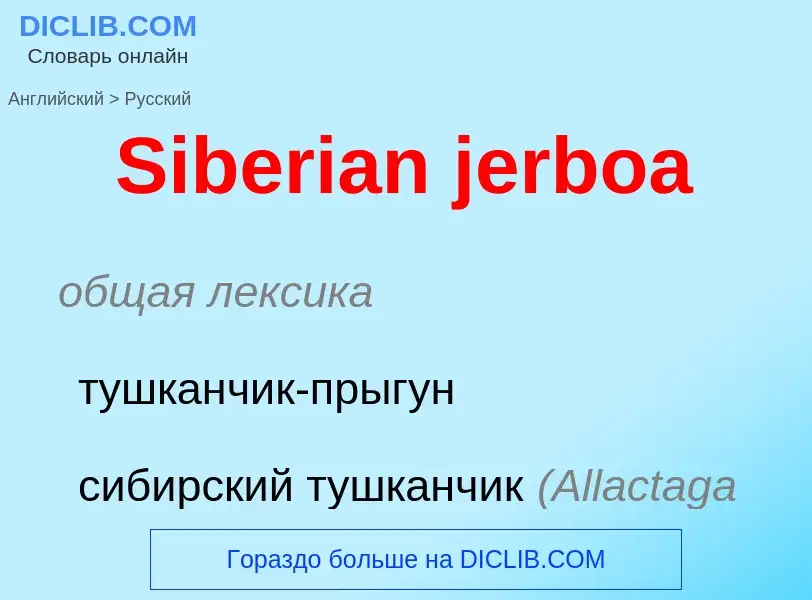 ¿Cómo se dice Siberian jerboa en Ruso? Traducción de &#39Siberian jerboa&#39 al Ruso