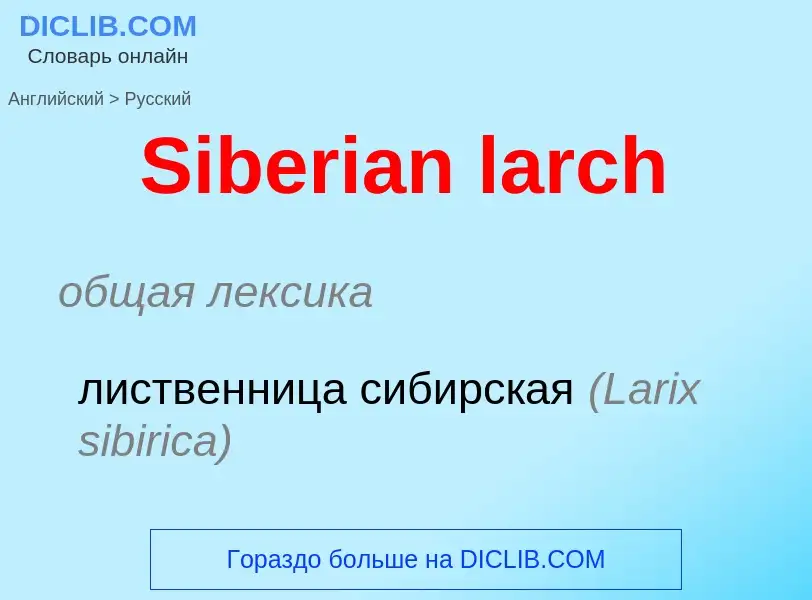 ¿Cómo se dice Siberian larch en Ruso? Traducción de &#39Siberian larch&#39 al Ruso