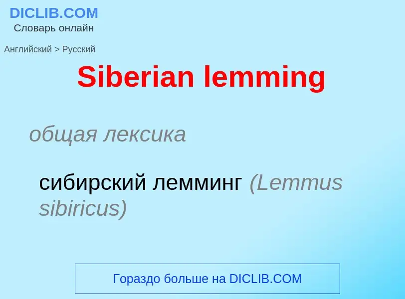 Как переводится Siberian lemming на Русский язык