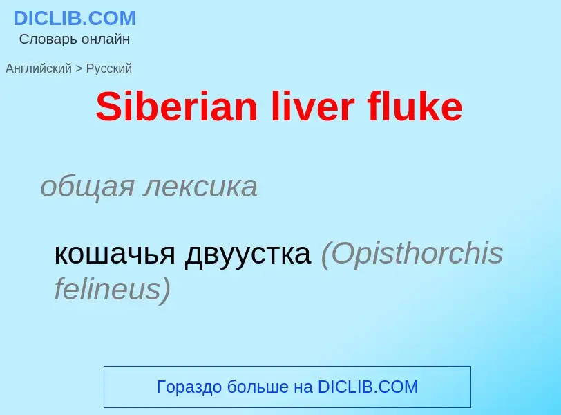 Traduzione di &#39Siberian liver fluke&#39 in Russo