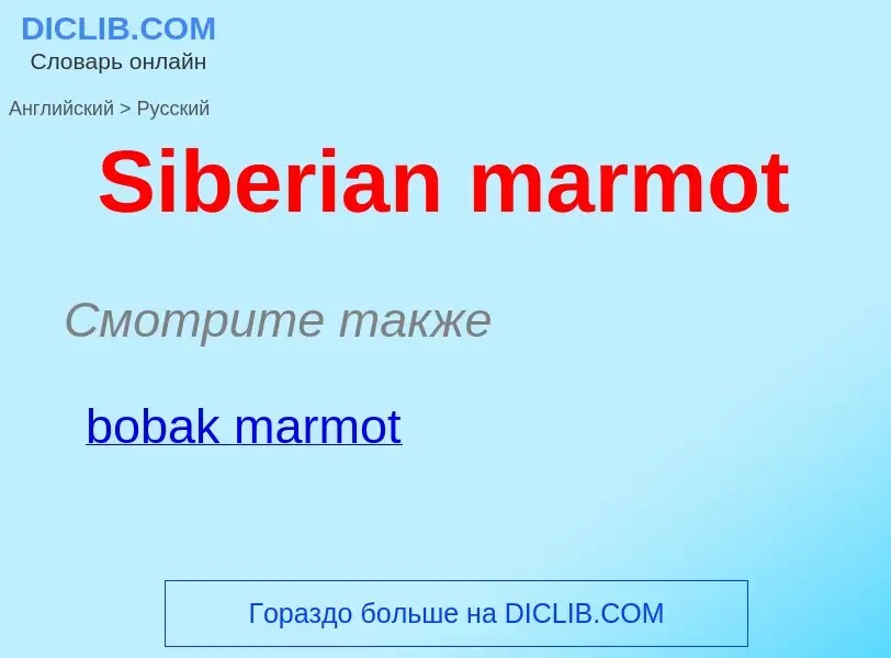 ¿Cómo se dice Siberian marmot en Ruso? Traducción de &#39Siberian marmot&#39 al Ruso