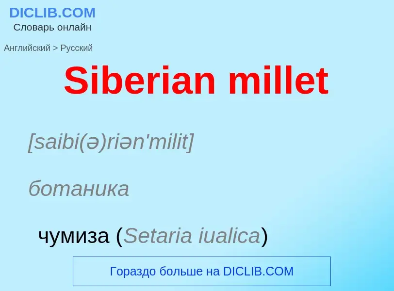 ¿Cómo se dice Siberian millet en Ruso? Traducción de &#39Siberian millet&#39 al Ruso