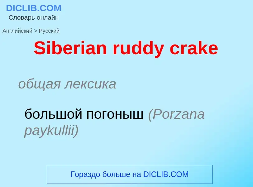 ¿Cómo se dice Siberian ruddy crake en Ruso? Traducción de &#39Siberian ruddy crake&#39 al Ruso