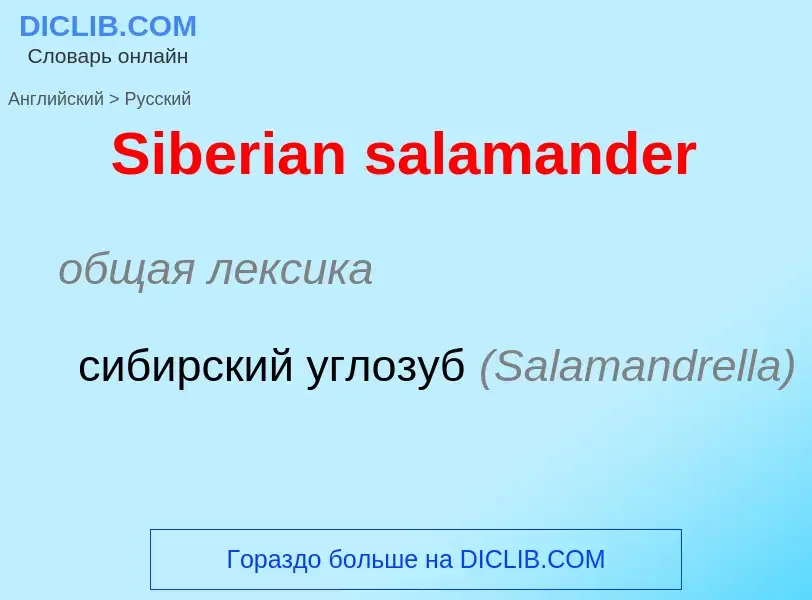 ¿Cómo se dice Siberian salamander en Ruso? Traducción de &#39Siberian salamander&#39 al Ruso