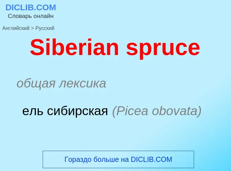 ¿Cómo se dice Siberian spruce en Ruso? Traducción de &#39Siberian spruce&#39 al Ruso