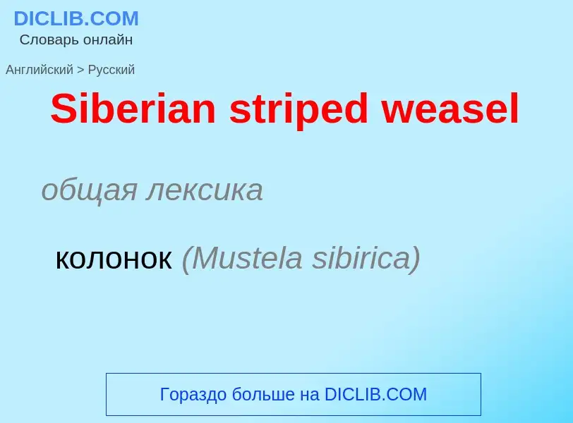 ¿Cómo se dice Siberian striped weasel en Ruso? Traducción de &#39Siberian striped weasel&#39 al Ruso