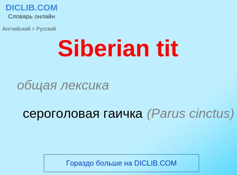 ¿Cómo se dice Siberian tit en Ruso? Traducción de &#39Siberian tit&#39 al Ruso