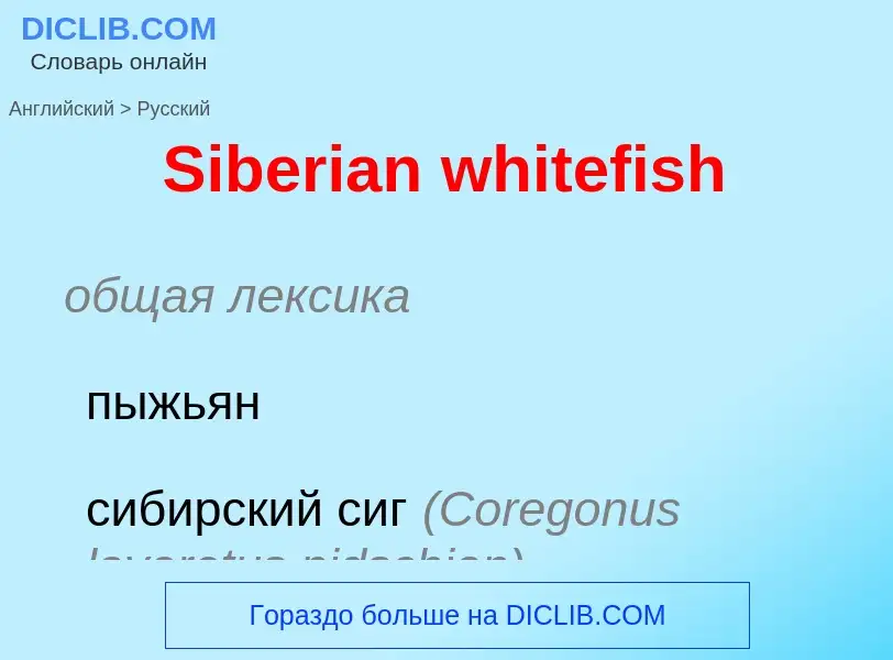 ¿Cómo se dice Siberian whitefish en Ruso? Traducción de &#39Siberian whitefish&#39 al Ruso