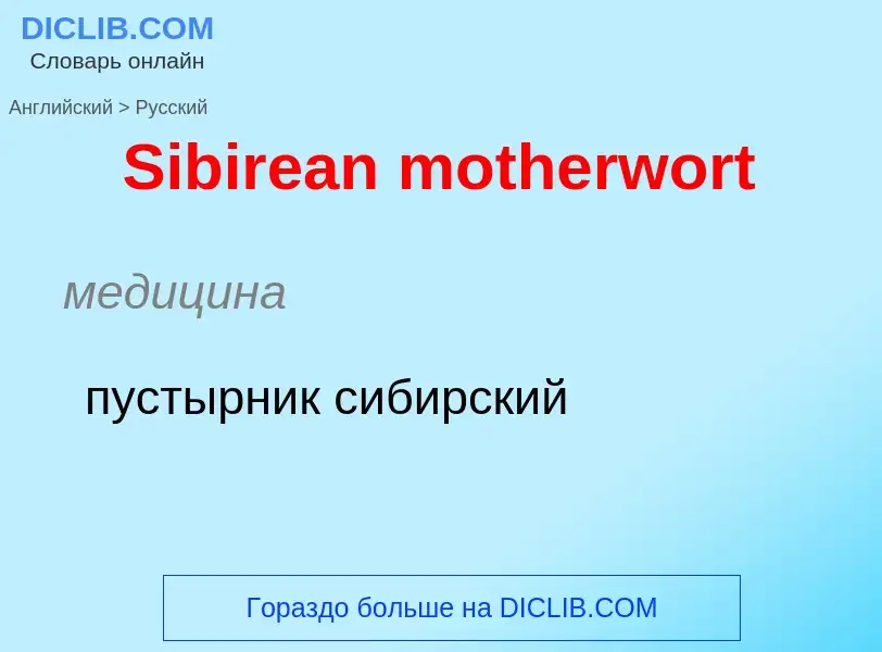 ¿Cómo se dice Sibirean motherwort en Ruso? Traducción de &#39Sibirean motherwort&#39 al Ruso