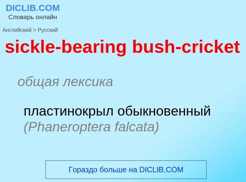 Как переводится sickle-bearing bush-cricket на Русский язык