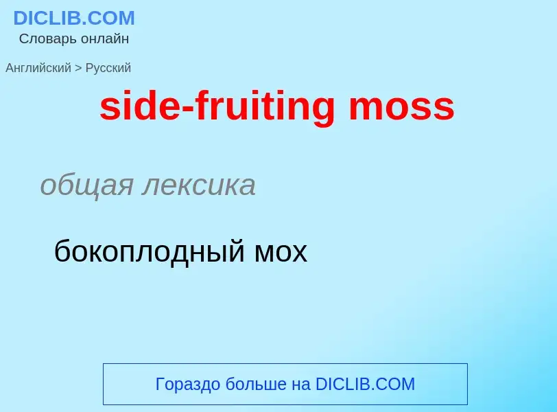 Como se diz side-fruiting moss em Russo? Tradução de &#39side-fruiting moss&#39 em Russo